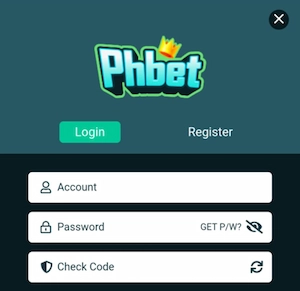 Enter the account and password registered earlier.